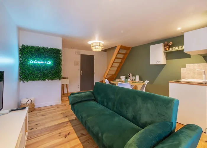 Le Grenier A Sel Centre Historique Lägenhet