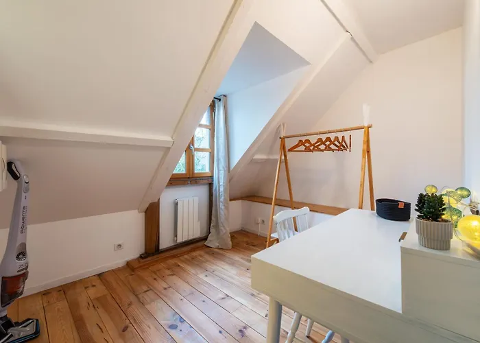 Apartment Le Grenier A Sel Centre Historique